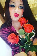 Bratislava Transex Nika  00421944929936 foto selfie 3