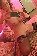 Milano Transex Roberta Lima 333 49 33 924 foto selfie 13